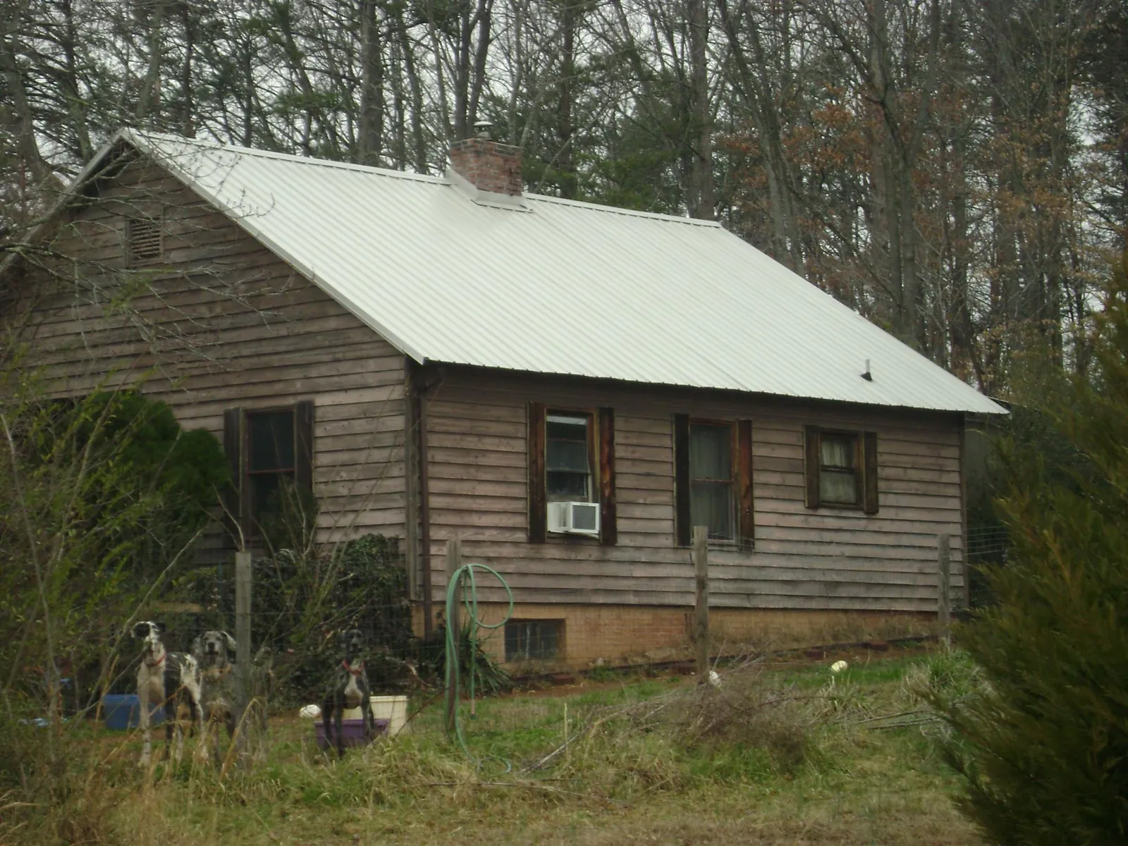 White metal roof on an old wood sided farmhouse, from a Asphalt Shingle Roof Repair job in Olin